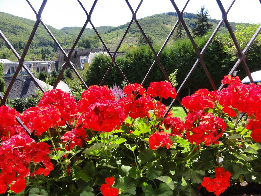 Villa Feuchtl Purkersdorf Cameră foto